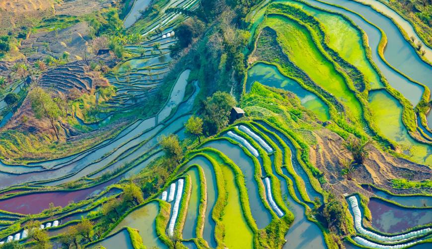香坊区产品视频拍摄