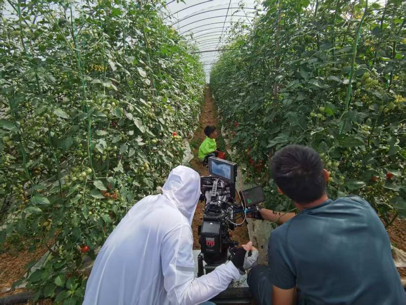 香坊区产品宣传视频拍摄公司进阶指南，助力品牌抢占传播高地